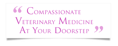 Compassionate Veterinary Medicine at your doorstep